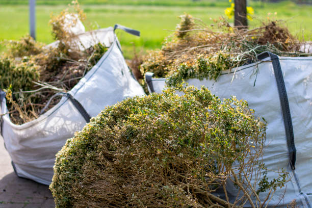 Best Recycling Services for Junk  in Cotter, AR